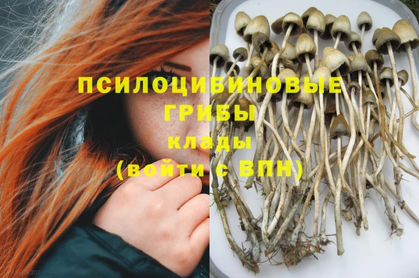 каннабис Гвардейск
