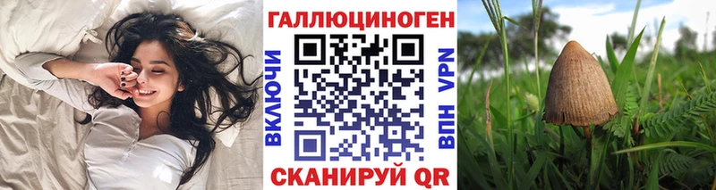 Псилоцибиновые грибы мухоморы  где купить наркоту  Зерноград 