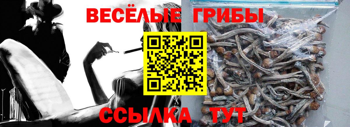 Псилоцибиновые грибы Psilocybe  Псилоцибиновые грибы мицелий  Вход с VPN  Зерноград 