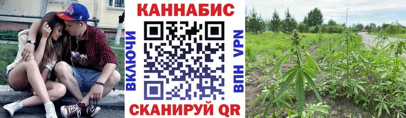 МЕГА ССЫЛКА Зерноград Бошки марихуана Bruce Banner закладки